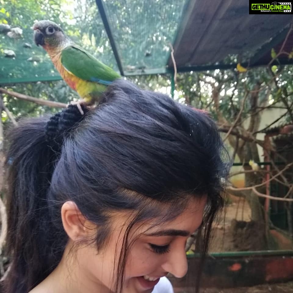 Aditi Prabhudeva Instagram - 🌼 Happiness 🌼 @prani_the_pet_sanctuary