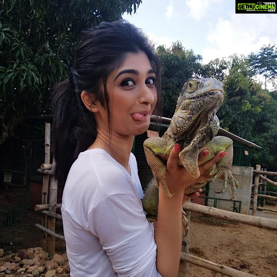 Aditi Prabhudeva Instagram - 🌼 Happiness 🌼 @prani_the_pet_sanctuary