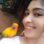 Aditi Prabhudeva Instagram - 🌼 Happiness 🌼 @prani_the_pet_sanctuary