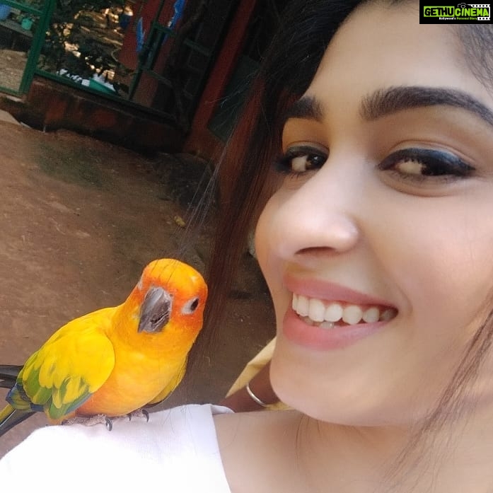 Aditi Prabhudeva Instagram - 🌼 Happiness 🌼 @prani_the_pet_sanctuary