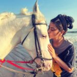 Aditi Sharma Instagram - Some souls have the power to heal you ✨ 🐎💓 #healingtouch #horselove Thank you @sarwarahuja for making me do this 🥰💫