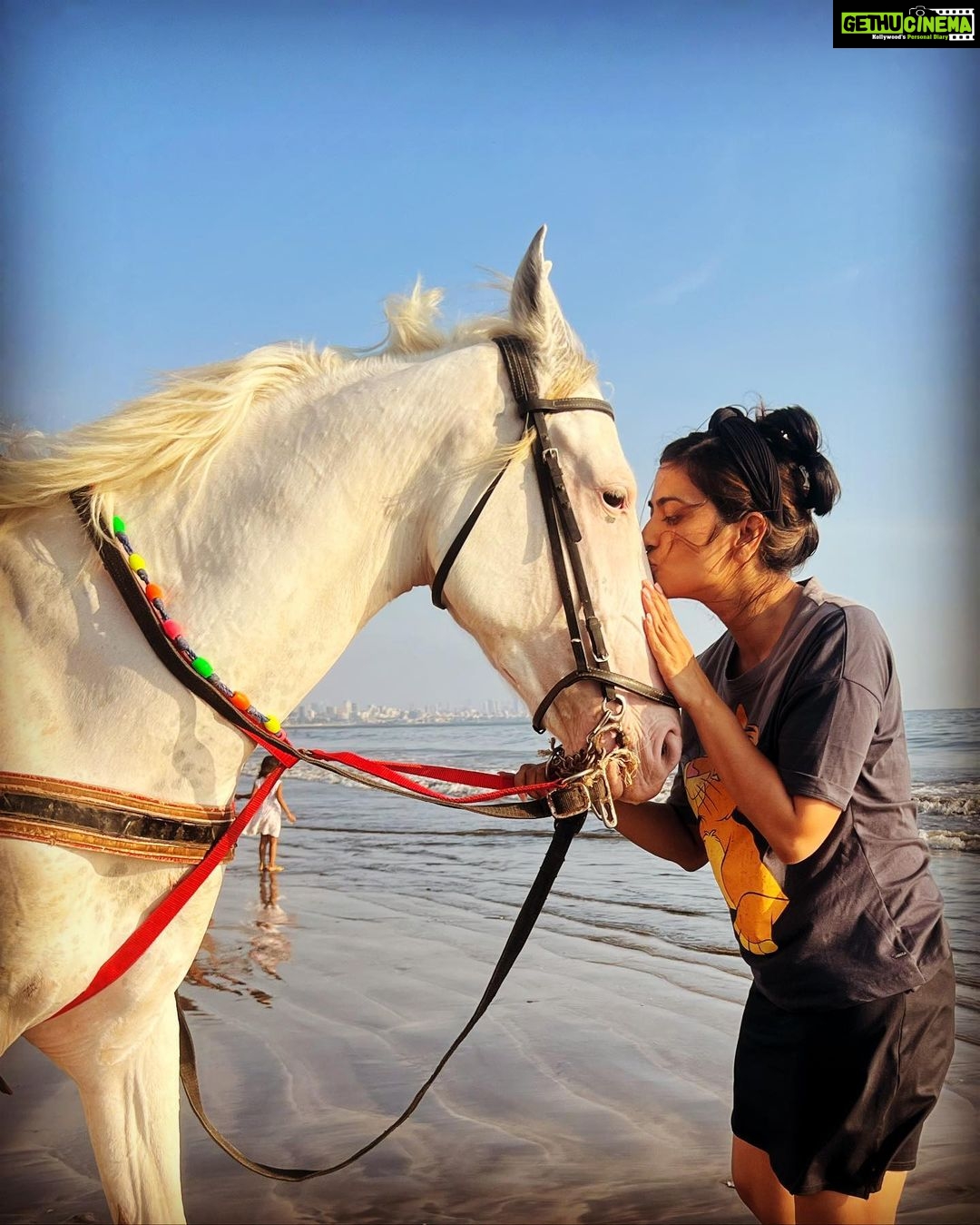 Aditi Sharma Instagram - Some souls have the power to heal you ✨ 🐎💓 #healingtouch #horselove Thank you @sarwarahuja for making me do this 🥰💫