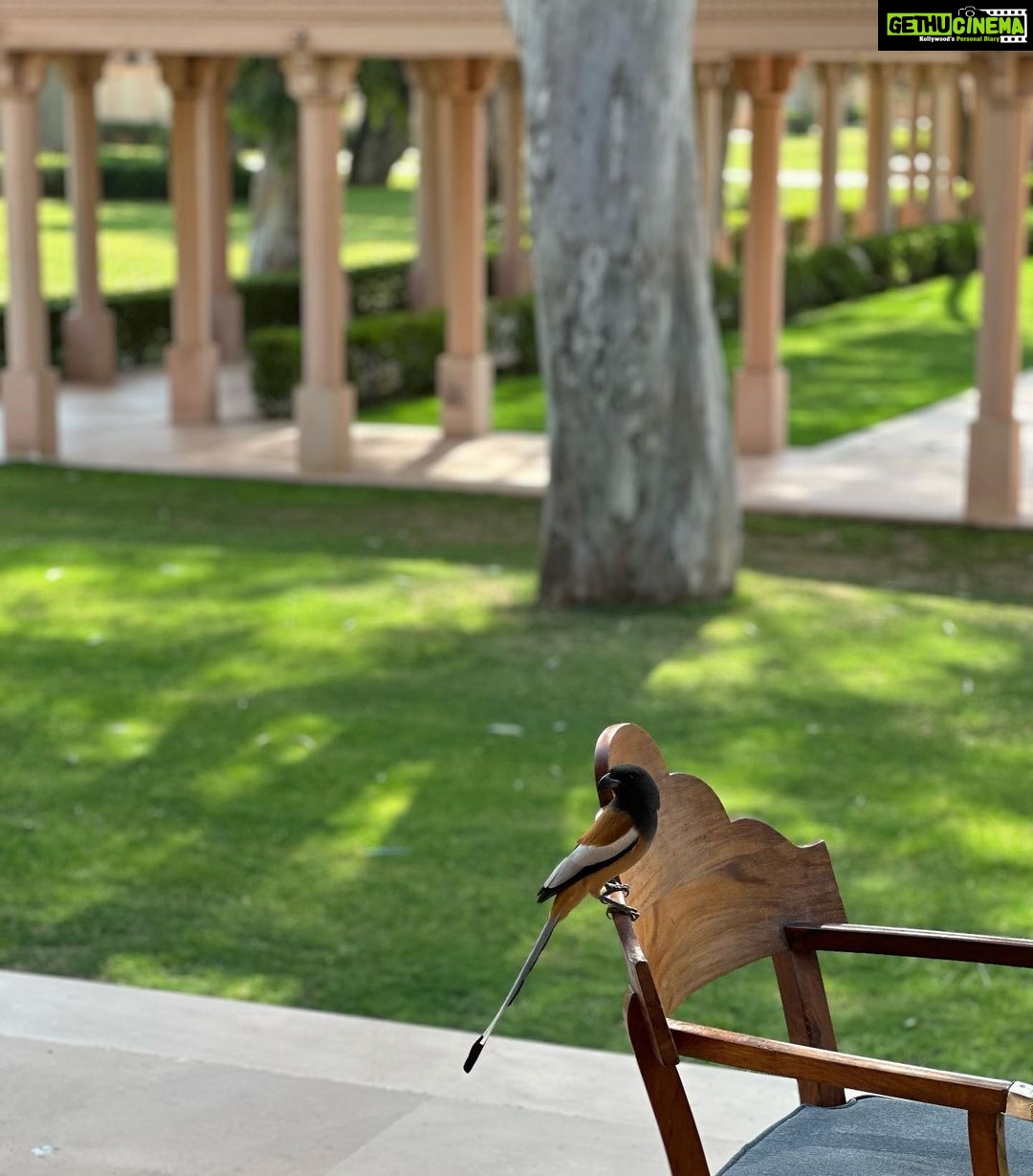 Aisha Sharma Instagram - #Throwback to one of the most memorable experiences .Wellness at it’s best @amanbagh #Amanbagh #TheSpiritOfAman #AmanWellness #AmanFoodie #AmanAdventure #nofilterneeded #nofilter