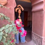 Aisha Sharma Instagram - Oh the habits of my heart I can't say no #weekend #weekendvibes Narender Bhavan, Bikaner