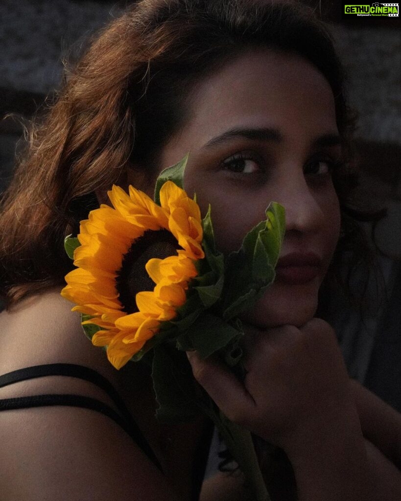 Aisha Sharma Instagram - For your new wallpaper 🌻 📸- @mikedesir