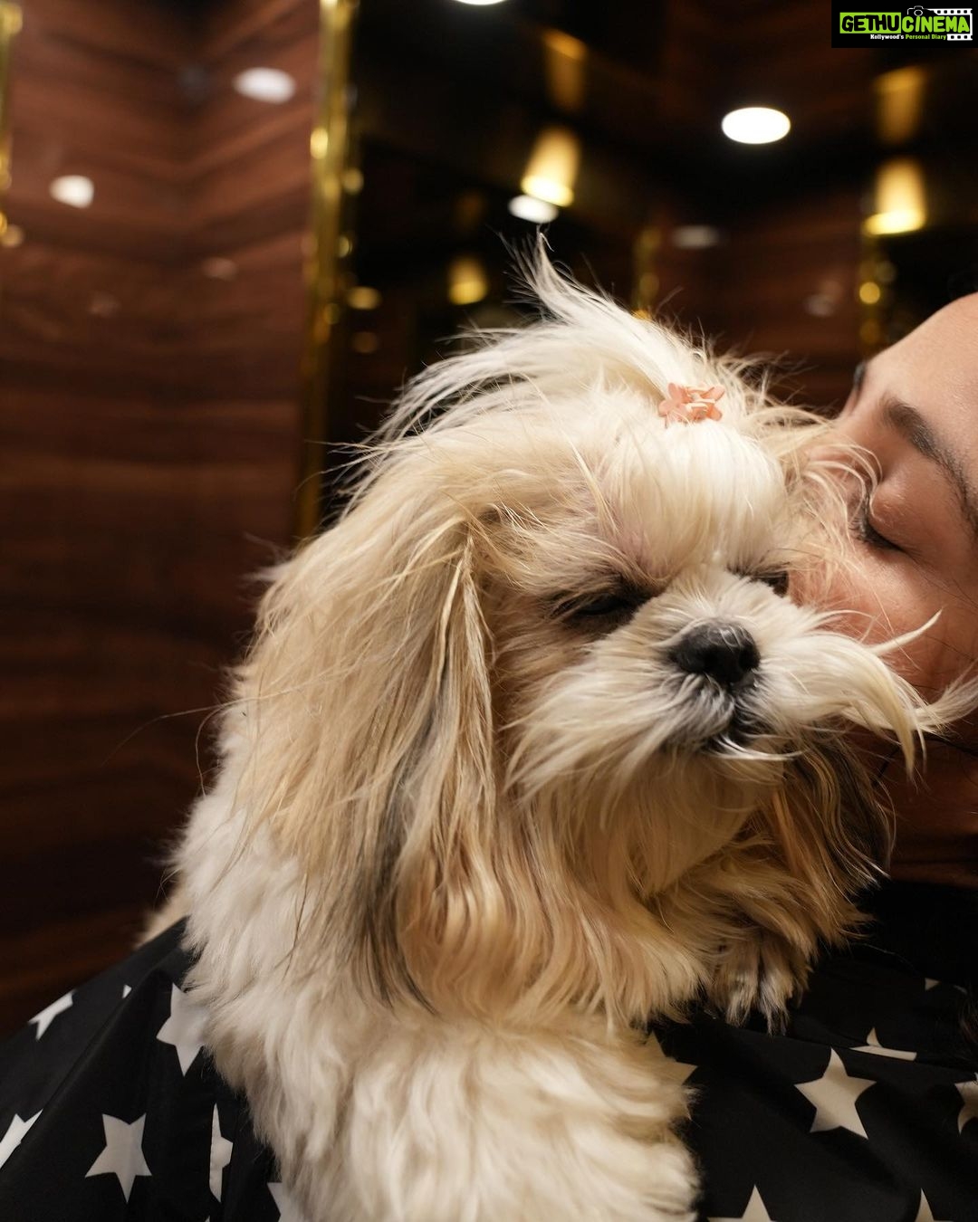 Aisha Sharma Instagram - I do not conform to any societal standards & prefer to live on the fringes . Kinda has been my recipe for happiness 😉 #joy&i #justjoythings #dogsofinstagram #dogs #happiness