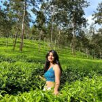 Aishani Shetty Instagram - 🫖