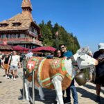 Aishwarya Sharma Bhatt Instagram – Love in the Air ❤️ #interlaken 

@myswitzerlandin @interlaken @jungfraujochtopofeurope 

#aishwaryasharma #neilbhatt #switzerland #ineedswitzerland #interlaken #jungfrauregion #neilkiaish #honeymoon