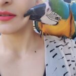 Akshara Reddy Instagram - Her name is Kayal ...💙