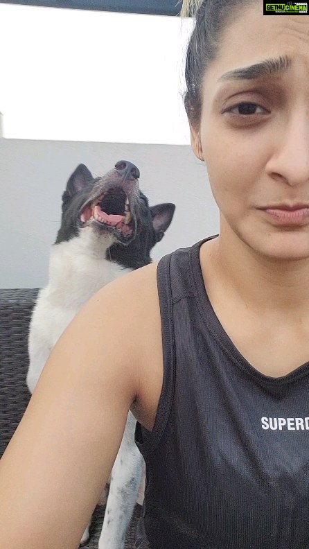 Akshara Reddy Instagram - LIFE WITH OREO #doglover #instadogs #dogarethebest