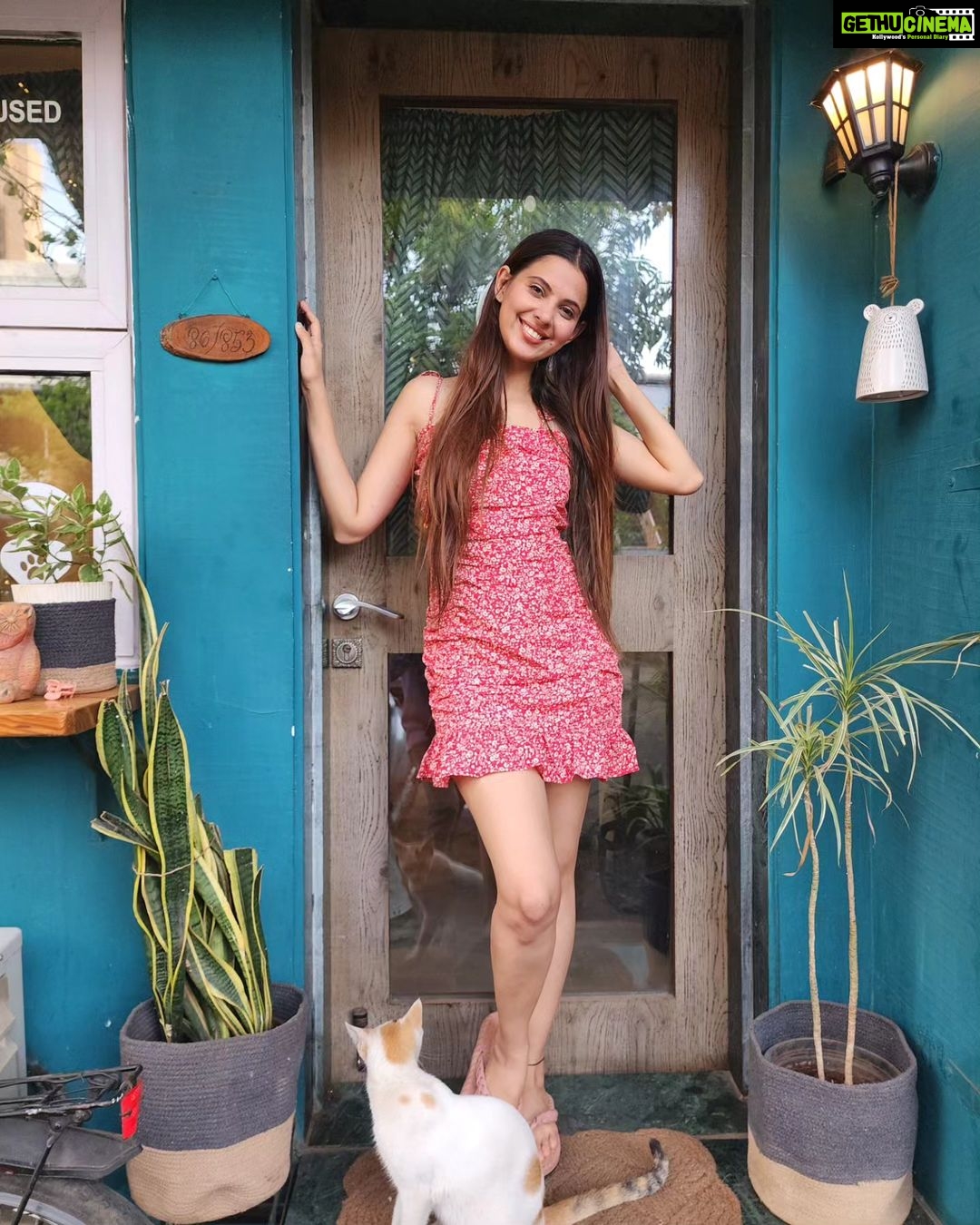 Alice Kaushik Instagram - Kitty kat πΊπ