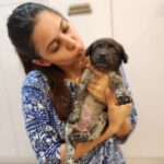 Alice Kaushik Instagram - Welcome home Peppy Kaushik ❤️🐶 My little child 🫶🏻 #AdoptDontShop #indie #Love #rescue