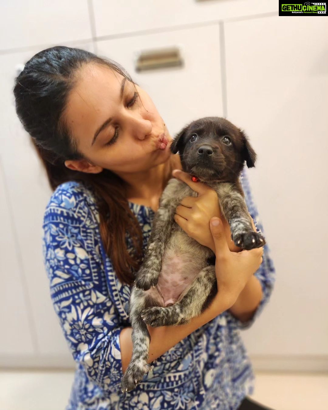 Alice Kaushik Instagram - Welcome home Peppy Kaushik ❤️🐶 My little child 🫶🏻 #AdoptDontShop #indie #Love #rescue