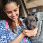 Alice Kaushik Instagram - Welcome home Peppy Kaushik ❤️🐶 My little child 🫶🏻 #AdoptDontShop #indie #Love #rescue