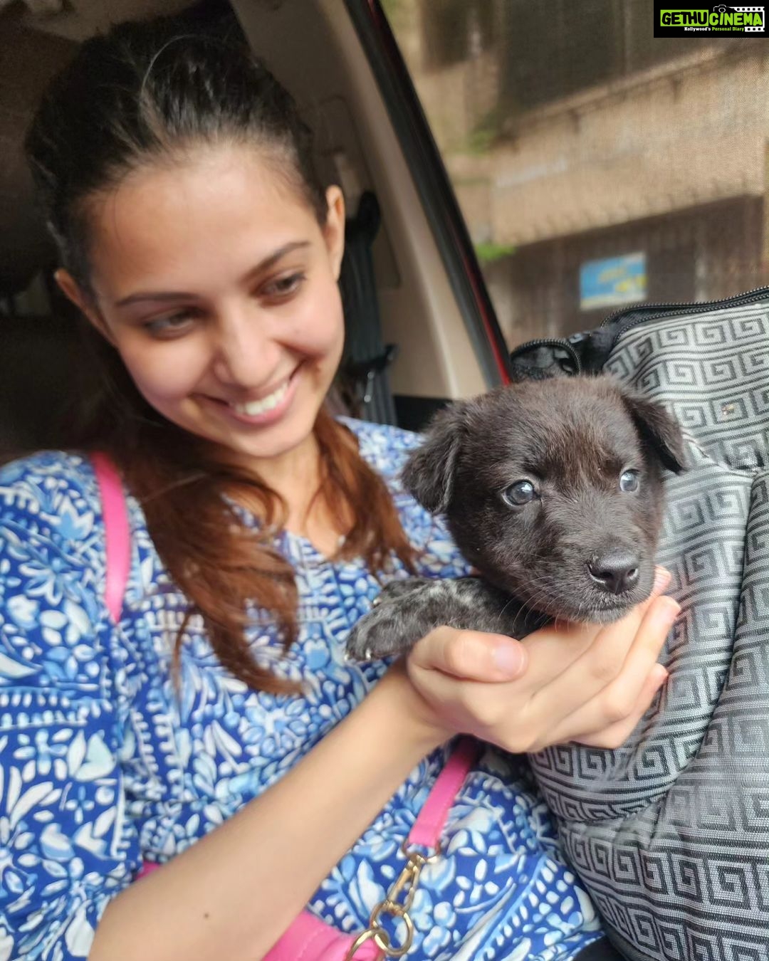 Alice Kaushik Instagram - Welcome home Peppy Kaushik ❤️🐶 My little child 🫶🏻 #AdoptDontShop #indie #Love #rescue