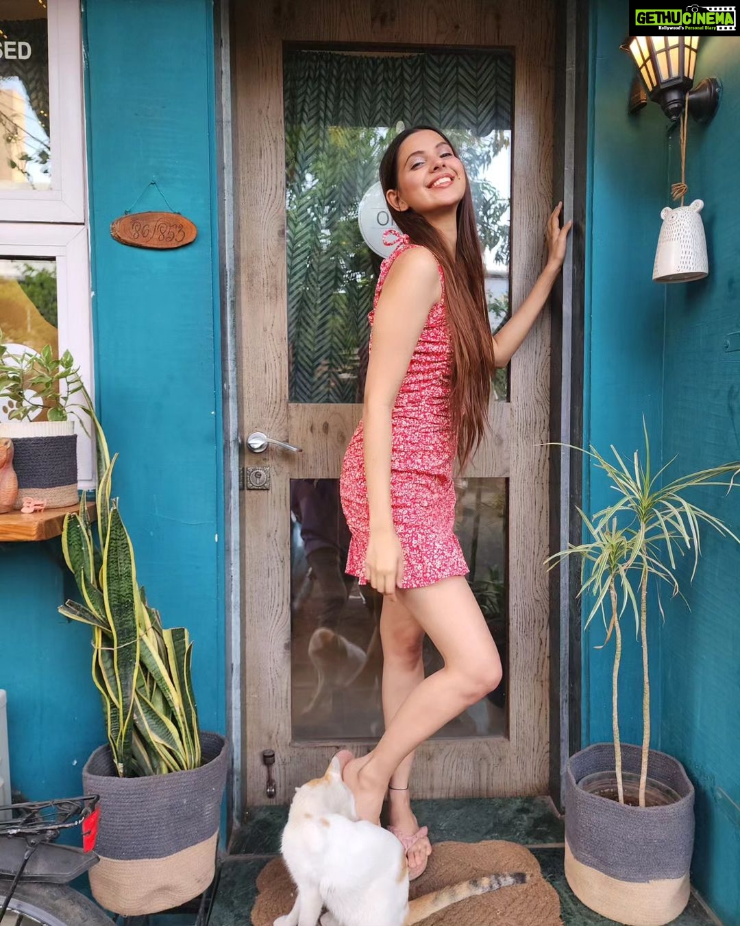 Alice Kaushik Instagram - Kitty kat πΊπ