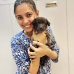 Alice Kaushik Instagram - Welcome home Peppy Kaushik ❤️🐶 My little child 🫶🏻 #AdoptDontShop #indie #Love #rescue