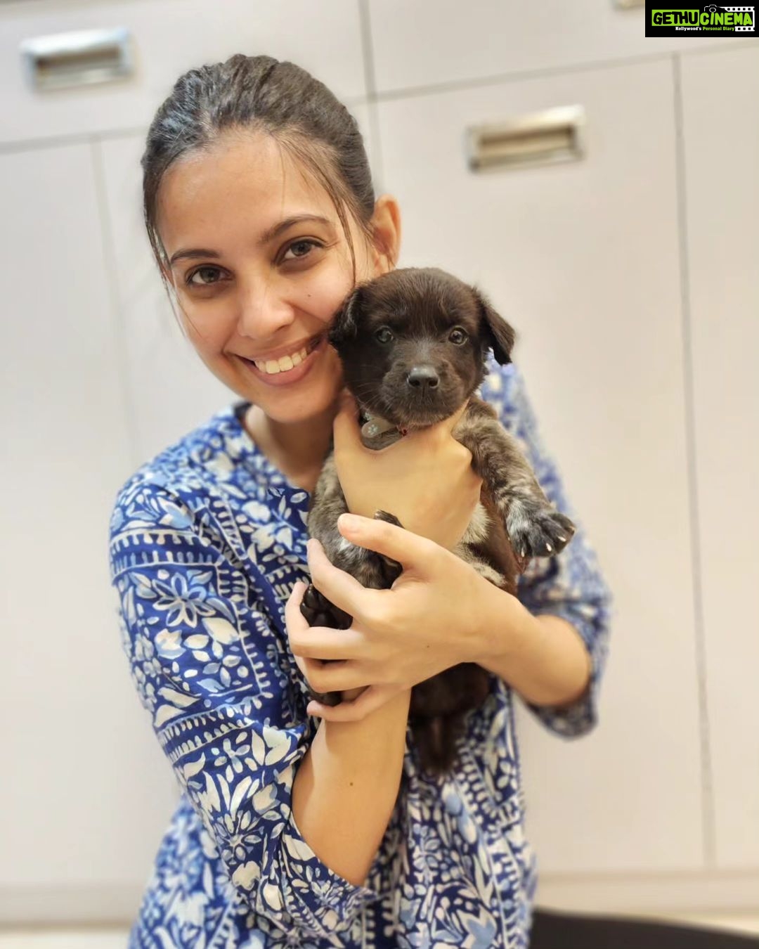 Alice Kaushik Instagram - Welcome home Peppy Kaushik ❤️🐶 My little child 🫶🏻 #AdoptDontShop #indie #Love #rescue