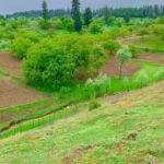 Aly Goni Instagram – Kashmirrr dump lelo guysss 🥸