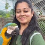 Anitha Sampath Instagram - 1minute of pure elegance🦜✨met these magnificent birds thangams at yercaud.. Dharmapuri la koodu movie shooting poitu iruku.. had one day leave inbetween. Takunu yercaud kelambiyachu with my assistant akka. Had a short one evening trip. I have already experienced a aviary like this in yelagiri. Came to about this aviary in yercaud also. This time wanted to show it to my assistant akka.. she was too impressed and happy❤️ Kili nama kaila ukarura feeling iruke🥹!! That weight of the giant parrots leaves our heart heavy in love❤️ @peekupark_yercaud #anithasampath #yercaud