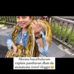 Anitha Sampath Instagram - Sambavam coming in part2😂 bali series Travel partner @gtholidays.in #anithasampath #baliseries #bali #indonesia #traveller #tamiltravelvlogger #travelvlogger Bali, Indonesia