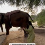 Anitha Sampath Instagram – Her name is rangoli😍 shot during the photoshoot of @instorefashions in rajasthan.
Wearing @instorefashions 
Village: haathi gaon near jaipur,Rajasthan
Shot by @kavinilavan_filmmaker 
Travel diaries with anithasampath❤️
Rajasthan series😍

#anithasampath #traveldiaries #traveller #anithasampathreels #trendingreels #trending #vijaytv #biggbosstamil #biggbossanithasampath #suntv #newsreader #vijaytvhost #vijaytvanchor #tamilpechuengalmoochu #rajasthan #rajasthandiaries #rajasthani #rajasthanelephant #haathigaon