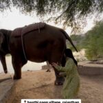 Anitha Sampath Instagram - Her name is rangoli😍 shot during the photoshoot of @instorefashions in rajasthan. Wearing @instorefashions Village: haathi gaon near jaipur,Rajasthan Shot by @kavinilavan_filmmaker Travel diaries with anithasampath❤️ Rajasthan series😍 #anithasampath #traveldiaries #traveller #anithasampathreels #trendingreels #trending #vijaytv #biggbosstamil #biggbossanithasampath #suntv #newsreader #vijaytvhost #vijaytvanchor #tamilpechuengalmoochu #rajasthan #rajasthandiaries #rajasthani #rajasthanelephant #haathigaon