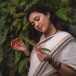 Anju Kurian Instagram - Onam 2023 🌾🌼 P.C- @_harikumar._ Styling - @joe_elize_joy MUA - @vikas.vks.makeupartist Saree - @byhand.in #feelingnostalgic #traditionalsaree #onam2023 #entekeralam #onam23🌼🌻 #sareelove