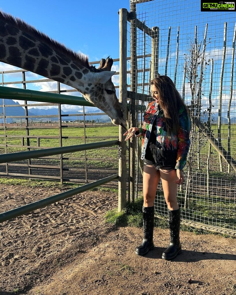 Anjum Fakih Instagram - Jeet ke rahungi har stunt Chahe koi bhi ho mere khilaaf And yes I agree here Am totally cool with giraffes 🦒 . . . #khatronkekhiladi13 #kkk13 @colorstv Styled by @stylebysaachivj Team @sanzimehta777 South Africa