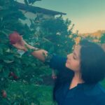 Anu Sithara Instagram - 🍎🍏