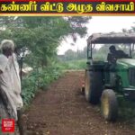 Aranthangi Nisha Instagram - எத்தனையோ வீடியோவ பாத்துட்டு கடந்து போய் இருக்கேன், ஆனா இந்த வீடியோவை பார்த்துவிட்டு என்னால கடந்து போகவே முடியல, 72 வயதிலும் உழைப்பையும் இந்த மண்ணையும் நம்பிய ஒரு விவசாயினுடைய கண்ணீரை அவ்வளவு எளிதாய் என்னால கடக்க முடியல, ஒரு படைப்பாளிக்கு மட்டும் தான் தெரியும் தன்னுடைய படைப்பு அழிந்து போகும் போது அது எந்த அளவுக்கு வலிக்கும், ஆனா ஒரு பார்வையாளரா என்னால அதை உணரவும் முடியுது, அரசாங்கமும் அரசு நினைச்சா இந்த வயதானவருக்கு ஏதாவது உதவி செய்ய முடியும், தன்னோட படைப்புக்கு ராயல் டி கேட்க உரிமை இருந்தா இந்த உலகத்திலேயே முதல் பணக்காரன் விவசாயி தான்..... நம்மால முடிஞ்சதையும் பண்ணுவோம் @udhay_stalin @mkstalin
