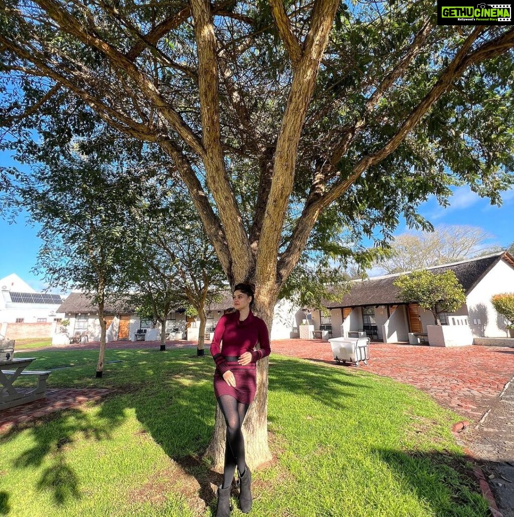 Archana Instagram - I am a #treehugger & a succor for #park & #parkpicnic 💜
