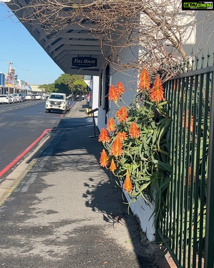 Archana Instagram - Another coastline beautiful quaint town called #hermanus π―π§Ώπ©΅ππ«Άπ₯ . . . #family #vacay #gardenroute #southafrica #coast #beach #nature #mountains #pappa #love #joy #walk #littlethings Hermanus, Western Cape