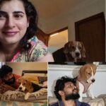 Archana Shastry Instagram - Everyone wants a piece of me !!!!! How do I explain momma and dadda I need space too ......." bheems says so"#bheemalostinthoughts