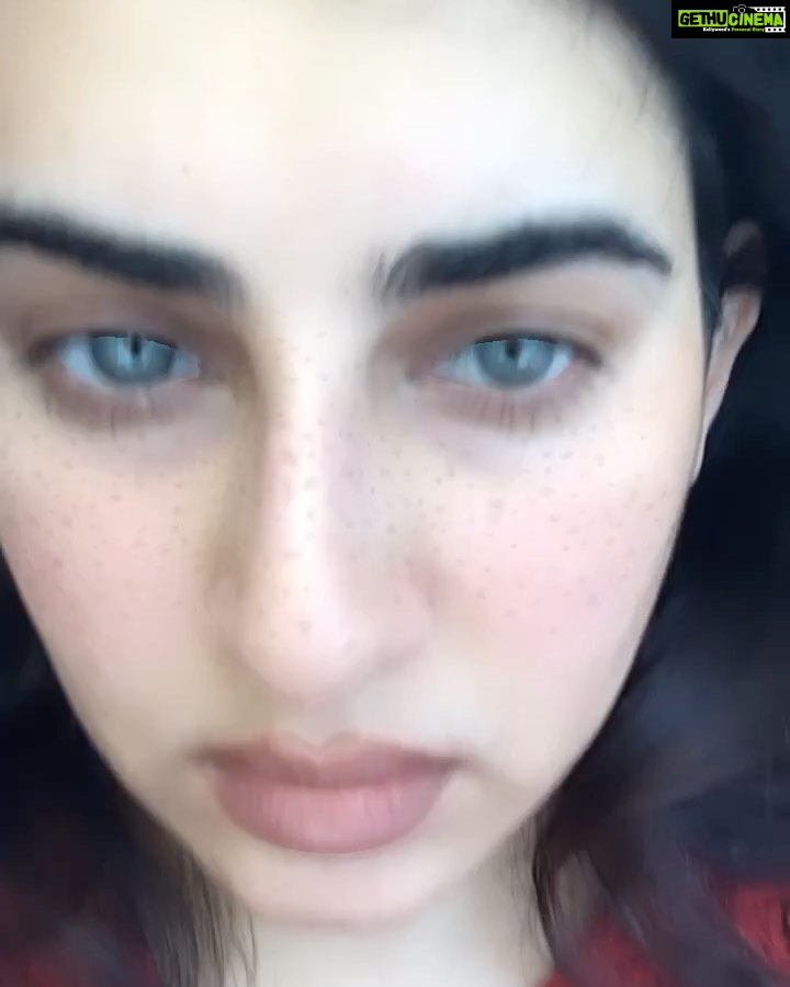 Archana Shastry Instagram - I think I should try these grey blue lens 🙃🤔what say ????