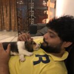 Archana Shastry Instagram - 🧚‍♂️ Our new entrant❤️u May call him Bheemaa or Bheem 🧿. And I loved capturing these moments🥰.🧚‍♂️