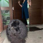 Archana Vijaya Instagram - Chow chow pow wow ! 💥 #aboutlastnight in @rohitgandhirahulkhanna ! 💚💙 #6weekspostpartum