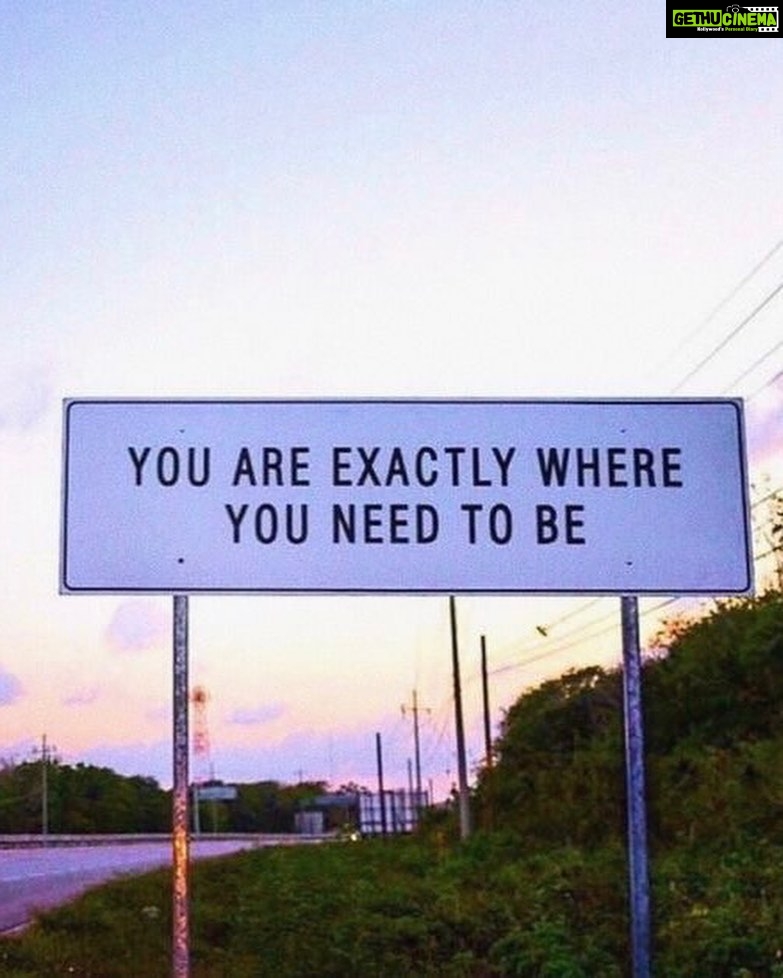 Arjun Kapoor Instagram - From holding on to everything too tight.. To let go of every image you've created for yourself... Each phase, brings in its own charms & challenges that eventually lead you to embrace your present self. And now when I look back, I think that's what this journey has been for me, wholehearted acceptance of myself...bringing myself back to my center, my core, my beliefs & my realities. & I mean, sure, I have my bad days, but then I remember what a cute smile I have π #iykyk Further tagging @varundvn , @kritisanon & @kunalrawalofficial whose journeys have been inspiring in so many ways π§Ώ Can't wait to witness these girls in their full stride on 6th Oct! GIRL POWER ALWAYS πͺ @bhumipednekar @anilskapoor @shobha9168 @rheakapoor @karanboolani @ektarkapoor @shehnaazgill @dollysingh @kushakapila @shibani_bedi @balajimotionpictures @akfcnetwork #IHaveComeALongWay #ThankYouForComingArjun #WorkInProgress