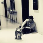 Arjun Kapoor Instagram - The best boy in the world… My Maximus… The kindest the sweetest the bravest the warmest the bestest… I miss u mera bacha… Our home is never gonna be the same ever now… I hate that u were taken from ansh n me so suddenly I don’t know how to sit at home and not have u around… Death has been cruel to us many times over and this time feels no different… Thank u for all the joy u gave @anshulakapoor & me in the good days and bad… I hope you Fubu Chocolate & Mom watch over us… take care my friend rest well sleep easy my gentle giant u can enjoy all ur treats now… I will see u on the other side my Maxxxxuuu ❤️