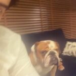 Arjun Kapoor Instagram - The best boy in the world… My Maximus… The kindest the sweetest the bravest the warmest the bestest… I miss u mera bacha… Our home is never gonna be the same ever now… I hate that u were taken from ansh n me so suddenly I don’t know how to sit at home and not have u around… Death has been cruel to us many times over and this time feels no different… Thank u for all the joy u gave @anshulakapoor & me in the good days and bad… I hope you Fubu Chocolate & Mom watch over us… take care my friend rest well sleep easy my gentle giant u can enjoy all ur treats now… I will see u on the other side my Maxxxxuuu ❤️