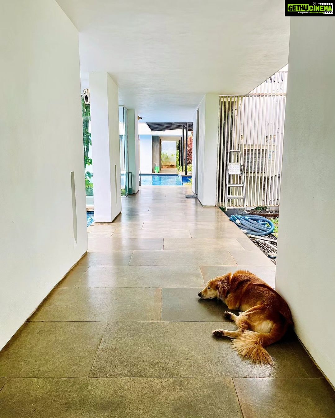 Arjun Kapoor - 404.6K Likes - Life is short, make your weekends long...
#longweekend #mood #photodump