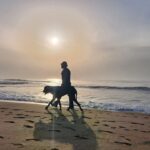 Arun Vijay Instagram - "It's better to walk alone, than with a crowd going in the wrong direction " #nature #walking #WarHorse #LuvAV #nofilter