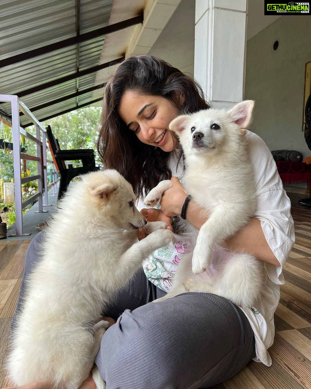 Ashika Ranganath Instagram - Weekend at Coorg ☔️ Also, jack & jill’s first appearance on gram 🫶🏻 @thejaswini_sharma @anusha.ranganath_ @rajeevgowda13 @sangeetha_prasan ♥️ Madikeri, Coorg