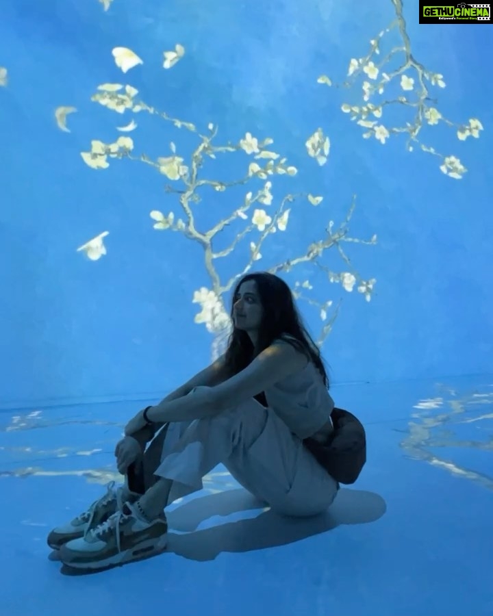 Ashika Ranganath Instagram - Van gogh can go 🖼️