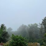 Ashika Ranganath Instagram - Weekend at Coorg ☔️ Also, jack & jill’s first appearance on gram 🫶🏻 @thejaswini_sharma @anusha.ranganath_ @rajeevgowda13 @sangeetha_prasan ♥️ Madikeri, Coorg