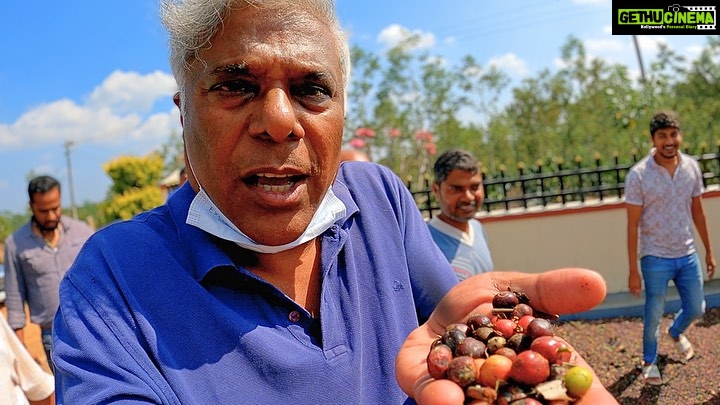 Ashish Vidyarthi Instagram - FIRST time holding COFFEE BEANS in a coffee estate 😍☕ Watch full vlog on YouTube-Ashish Vidyarthi Actor Vlogs Come let's explore an interesting journey today through this vlog wherein I am going to shoot an action scene with my old and dear friend, I will be interacting with a group of ex-students of a school named - Shathayushi Government Higher Primary School here in Hassan district of Sakleshpur, who are engaged in a very noble cause of revamping and building their school into a modern day school with state-of-the-art facilities. Next, Puttanna will take me to experience something that I have never done before and that's walking on a bed of coffee beans and holding them in my hand as I was visiting an ex-students house who are into coffee plantation. The taste of Sapota (chikoo) juice is surely going to be on my palate for a long time. I must tell you that I was enthralled and surprised to meet my old friend Abhijit Bhaduri and his wife Nandini on the sets of the film. Abhijit is sharing screen space with me in this movie, so it's a wonderful experience. I have felt so nice exploring so many emotions and meeting such loving people and viewing such a beautiful place with Puttanna, Jaiprakash, Umesh and Shekhar. I really feel grateful to God for gifting my life with such memorable moments that I will always cherish. Alshukran Bandhu Alshukran Zindagi... #coffee #sakleshpur #bengaluru #karnataka #schoolfriends #sapota #actorslife #travel #explore #bts #behindthescenes #filmmaking #halfpantsfullpants #happy #friendship #love #vlog #youtube