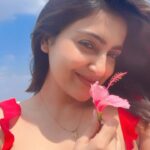 Avantika Mishra Instagram - The sun felt so luxurious this morning! 🌸 ☀️