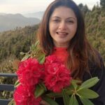 Bhagyashree Instagram – #tuesdaytipswithb

This beautiful flower, found only in uttarakhand is full of amazing benefits.
Buransh or Rhododendron:
It is antioxidant, anti inflammatory, anti diabetic and also good for the heart, liver and skin.
It has Vit C, phosperous, calcium, iron and quercentin.
Take 1/3 of the flower extracts in 2/3 water and boil for 20mins. Allow to cool, strain and drink immediately The local markets in uttarakhand also sell packaged juice but that does have sugar.
#healthytips #health #everydaytips #flowers #healthfood #diet #weightloss #foodoftheday #kanatal #hearthealth
#uttarakhand #nutrition #healthyfood #healthhacks #goodhealth #eatwell  #nutritious #womenshealth