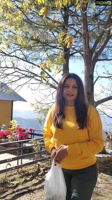 Bhagyashree Instagram - Pahadi Namak !! Daindoosa. Its interesting to note that every region of India has its own speciality food. The pahadi namak is made in every household here and is often mixed with ghee and had with rice or roti. They say the salt reminds them to hydrate themselves as thirst is often forgotten due to the cold weather. It taste yum and can be used to add flavor to chaas, fruits, bhel, pakoras. It has also become a source of income for many women here. We bought almost several packets to distribute to friends back home. #uttarakhand #kanatal #incredibleindia #mountains #himalayas #salt #pahadinamak #tasty