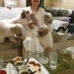 Bhagyashree Instagram – Doggo love!
The cutest bunch indeed…. @simplysheeba I love your babies.

#aboutlastnight #loveisintheair #momentstoremember #doggolove #bestie #familytime